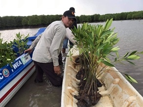 苗を植えている写真