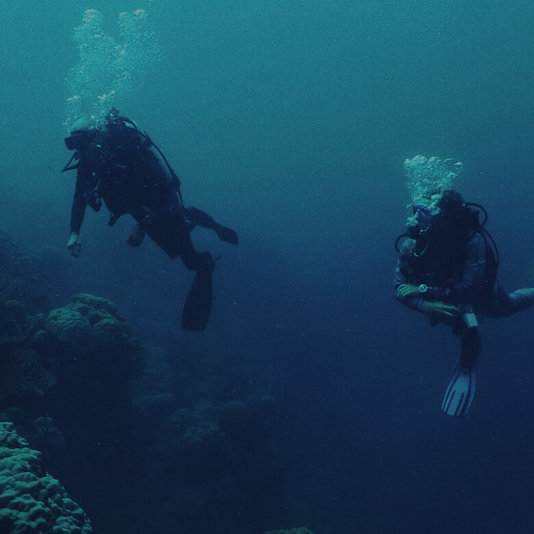 死にゆく海を守るために 3人の海洋科学者による再生への挑戦