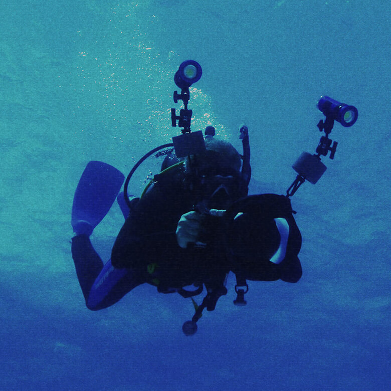 海の｢今｣から新しい未来が見えてくる。