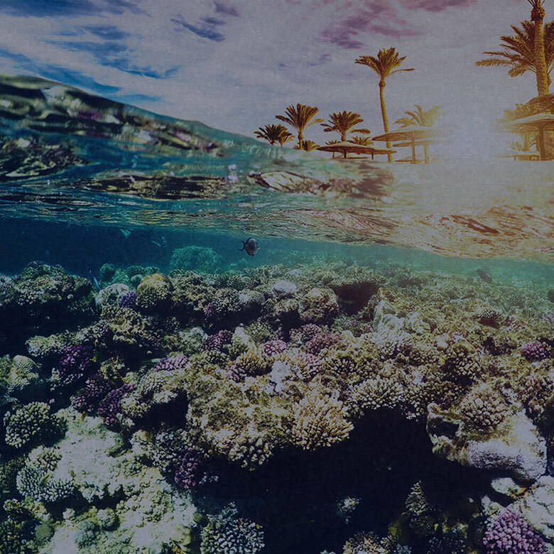 シャルム・エル・シェイク エジプト