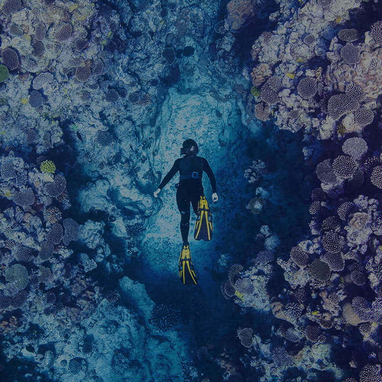 グレート・バリア・リーフ オーストラリア