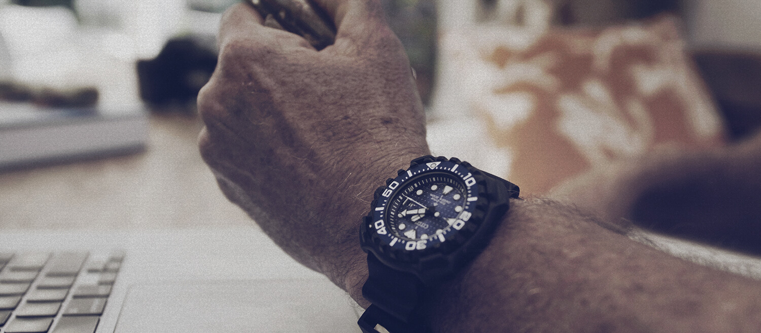 PROMASTER