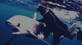 GONZALO ARAUJO, Ph.D.