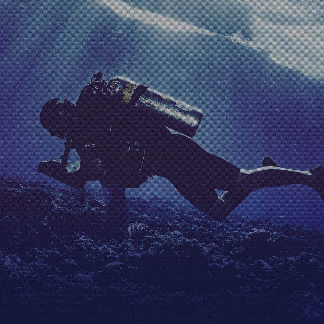 VOICE OF THE DEEP
