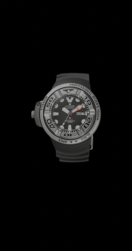 PROMASTER 1000m Professional Diver