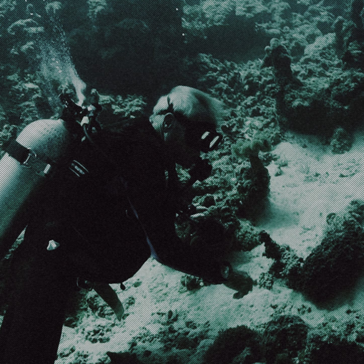 THIS ISN’T A MOVIE. THIS IS REAL.