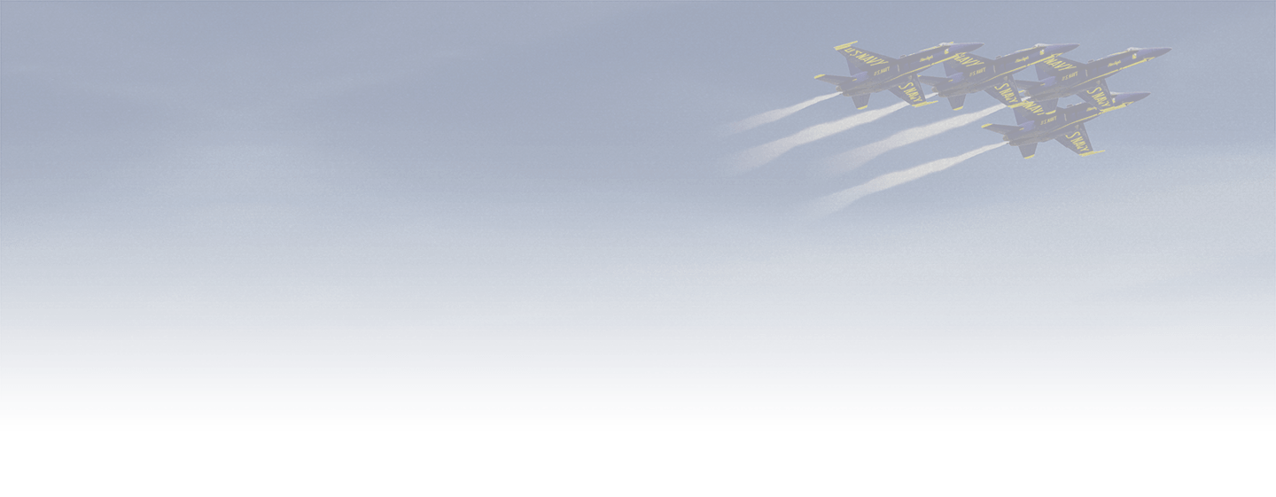 BLUE ANGELS® MODEL