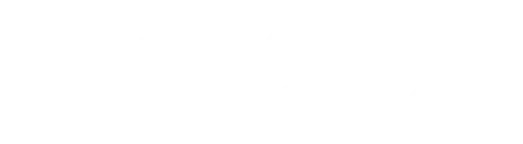 CITIZEN COLLECTION